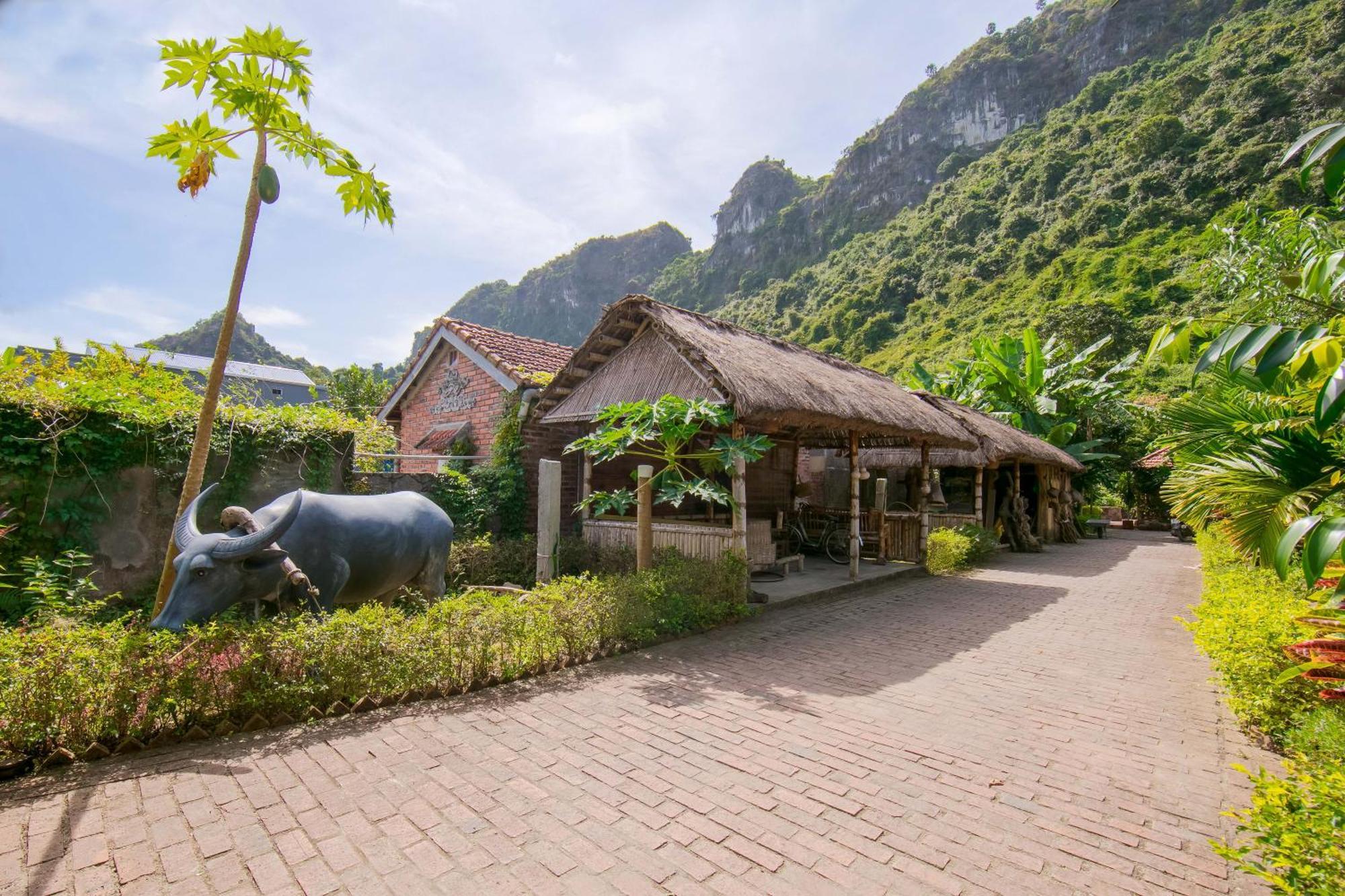 Viet Hai Lan Homestay Trung Trang Zewnętrze zdjęcie